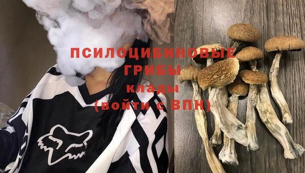 стаф Абаза