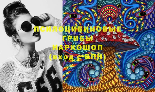 ешки Алексин