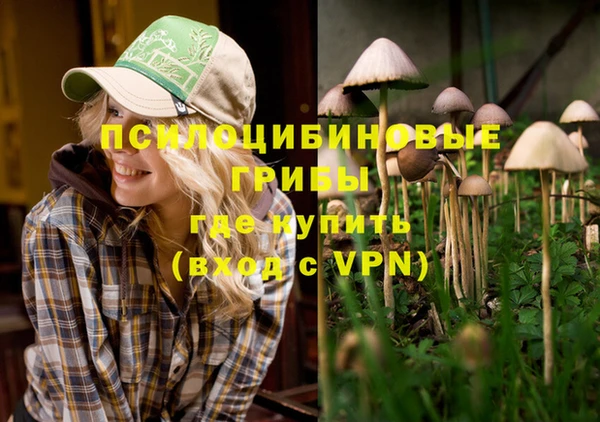 спайс Россошь